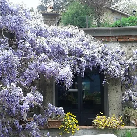 La Tinaia Del Glicine Appartement Pratolino